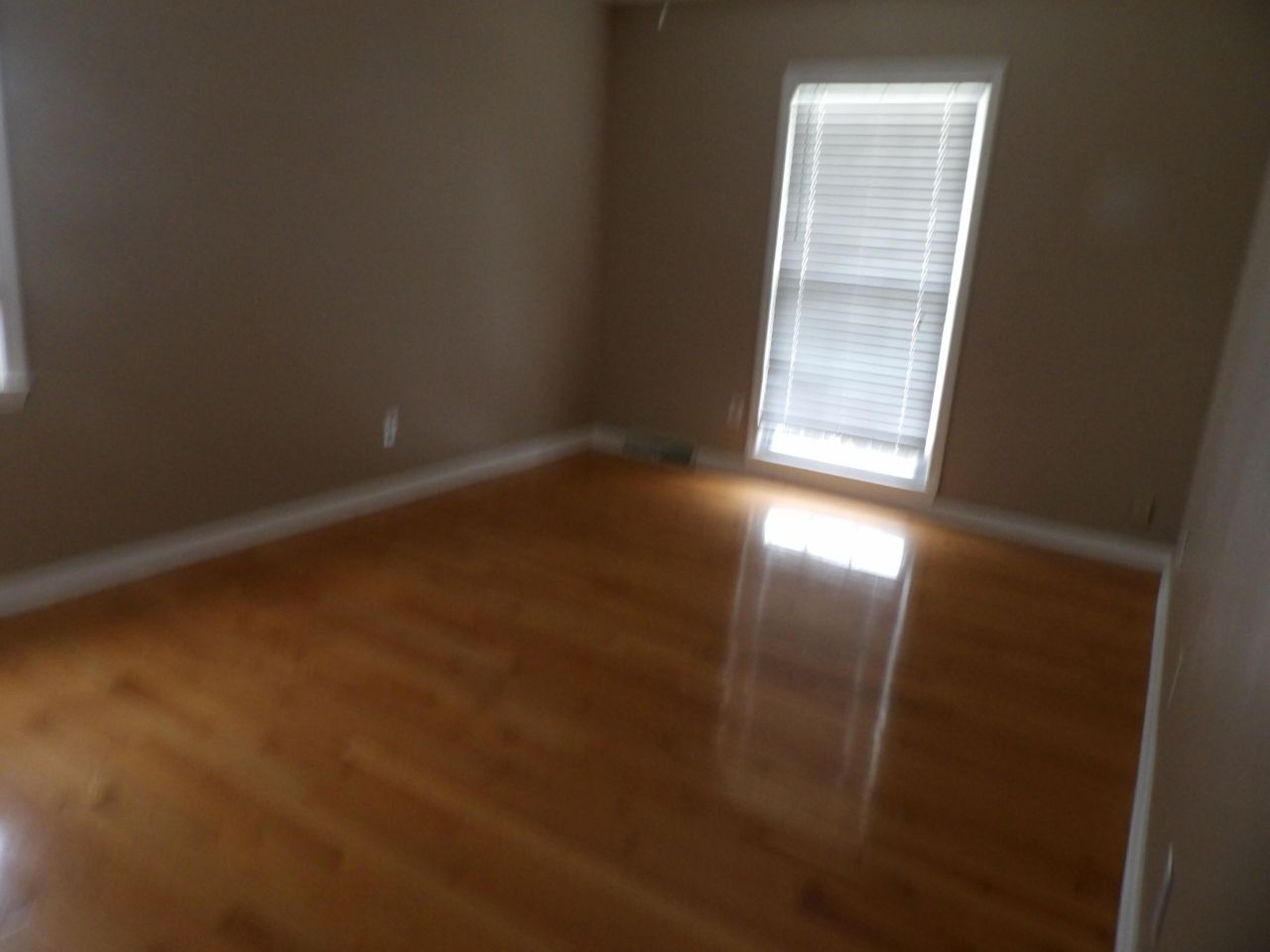 100 Night Hawk Lane Photo 11