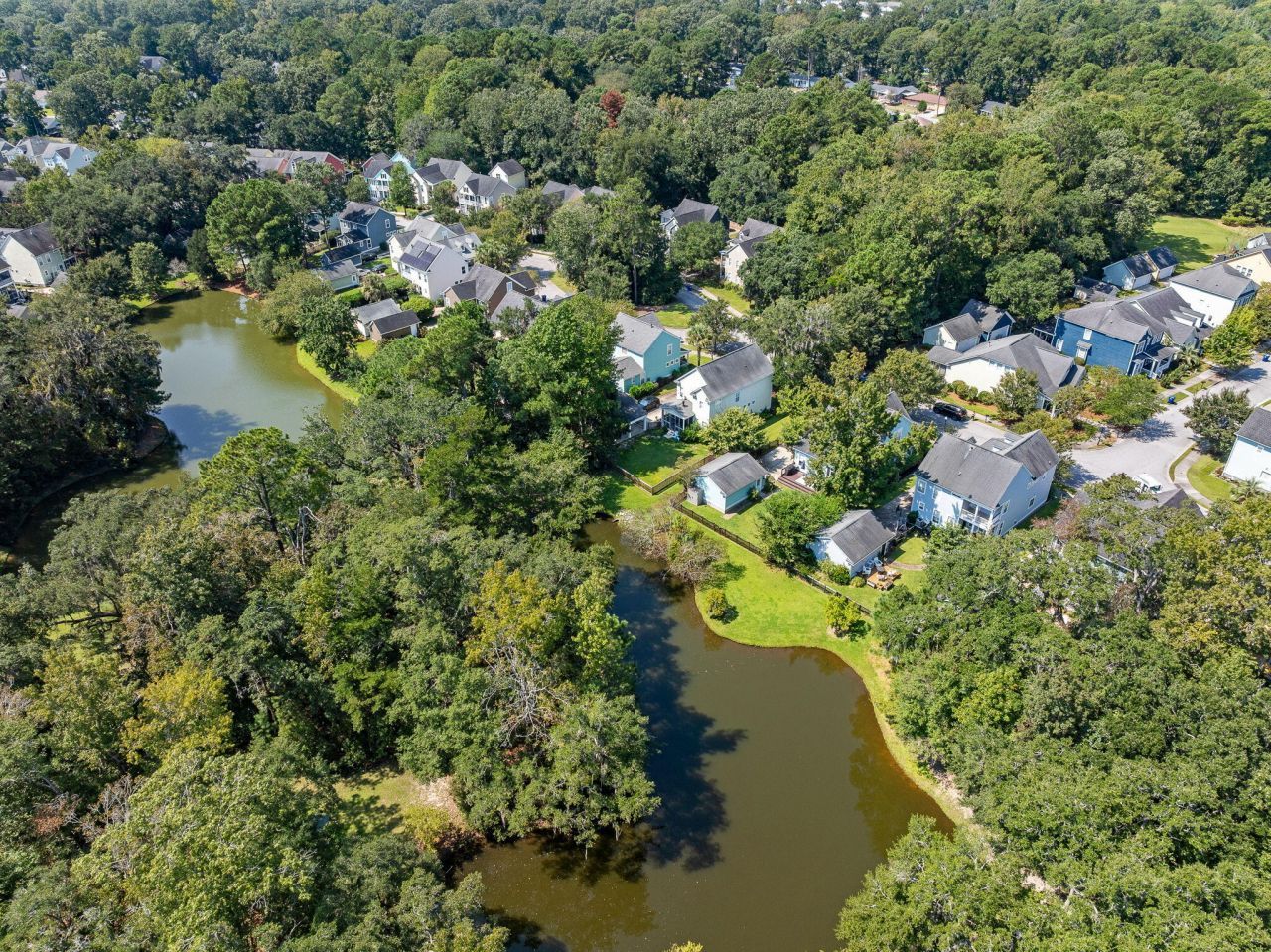 1776 Manassas Drive Photo 48