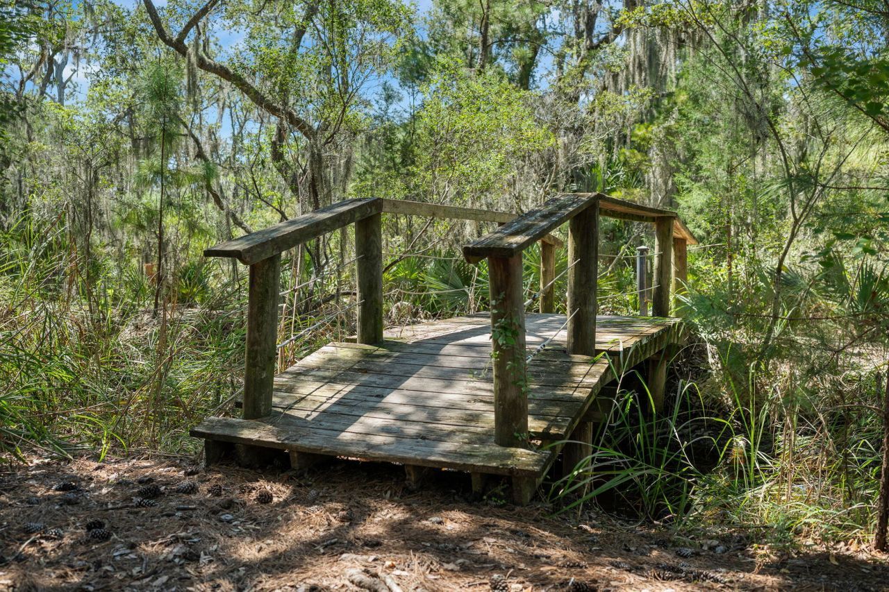 1776 Manassas Drive Photo 68