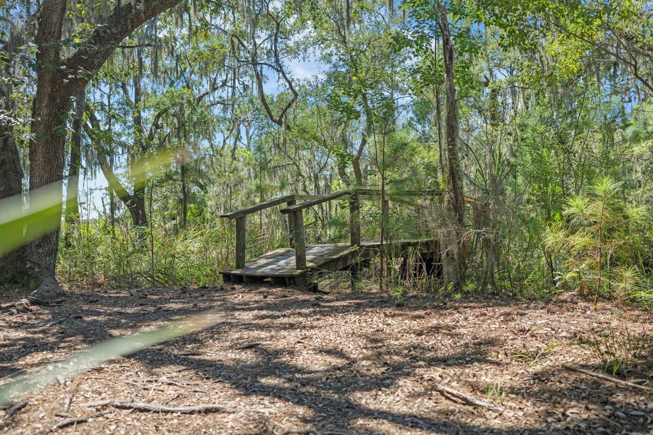 1776 Manassas Drive Photo 70