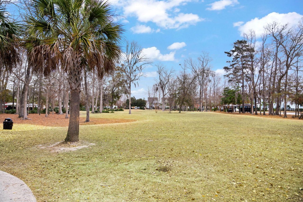 1776 Manassas Drive Photo 73