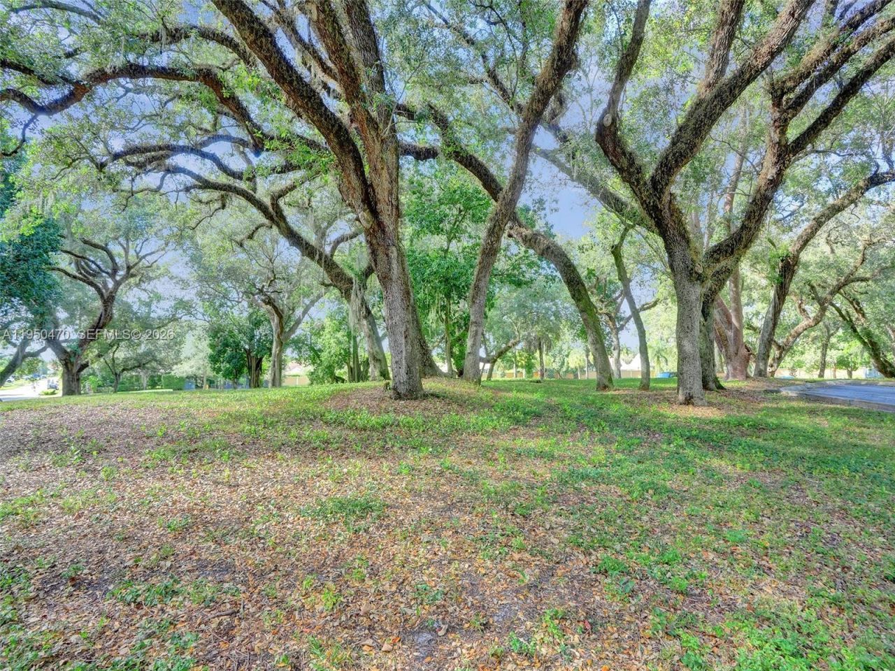 9451 Live Oak Pl, Unit 102, Davie, FL 33324 Photo