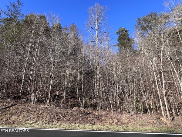 Lot 17 & 18 Jones Cove Rd, Sevierville, TN 37876