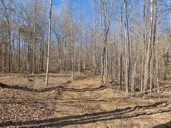 0 Hurricane Creek Road, Linden, TN 37096