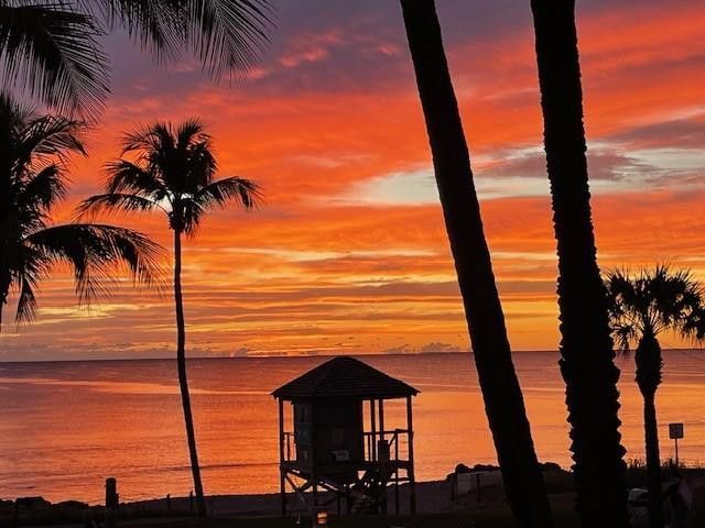 2051 SE 3rd Street, Unit 203, Deerfield Beach, FL 33441 Photo