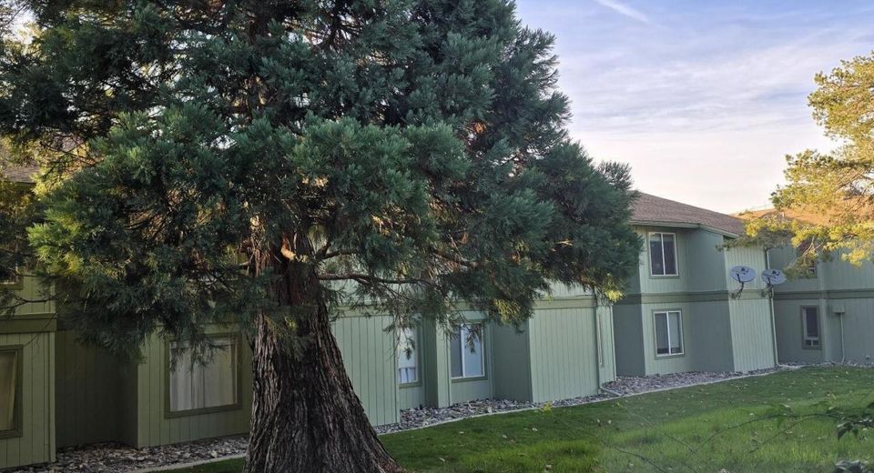 3909 Clear Acre Lane, Unit APT 33, Reno, NV 89512 Photo