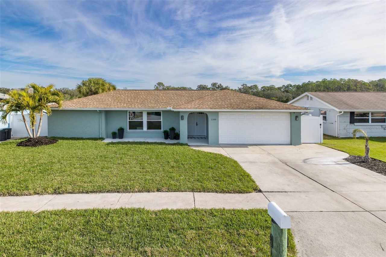 1166 Chancellor Drive, Holiday, FL 34690 Photo