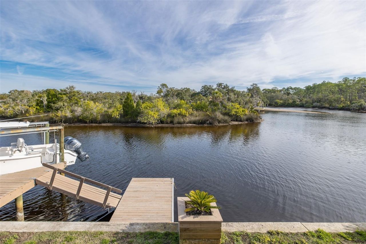 1166 Chancellor Drive, Holiday, FL 34690 Photo