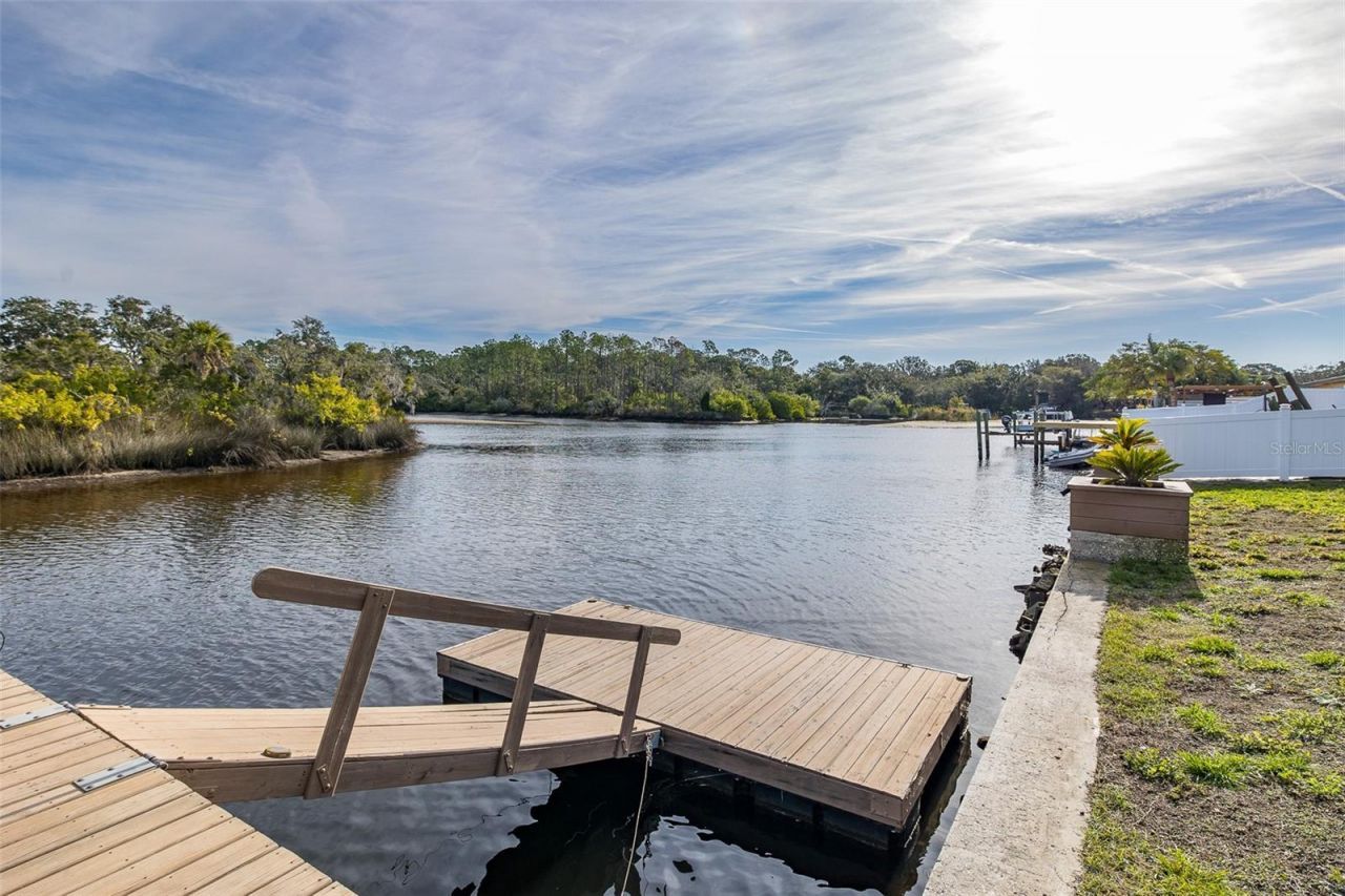 1166 Chancellor Drive, Holiday, FL 34690 Photo