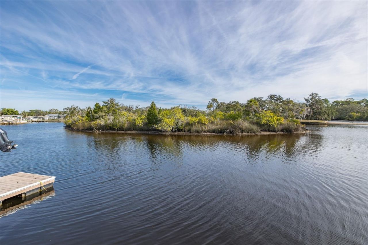 1166 Chancellor Drive, Holiday, FL 34690 Photo