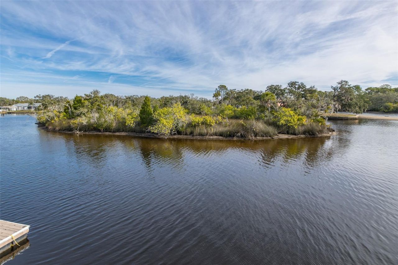 1166 Chancellor Drive, Holiday, FL 34690 Photo