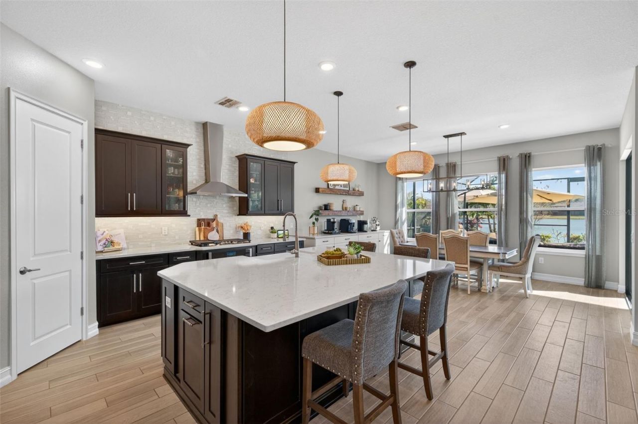 28501 Picana Lane, Wesley Chapel, FL 33543 Photo