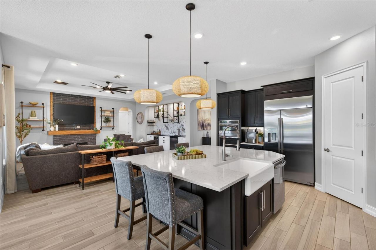 28501 Picana Lane, Wesley Chapel, FL 33543 Photo