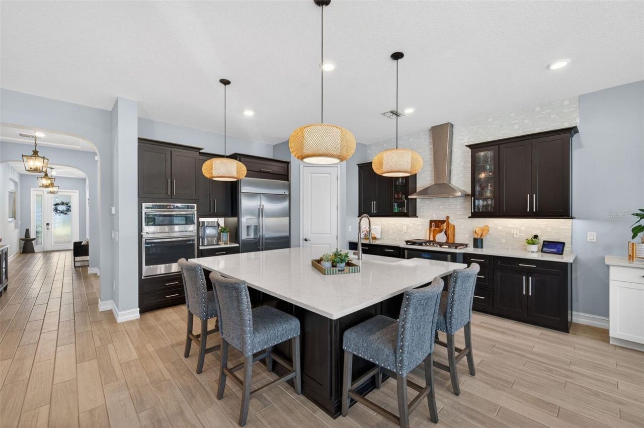 28501 Picana Lane, Wesley Chapel, FL 33543 Photo