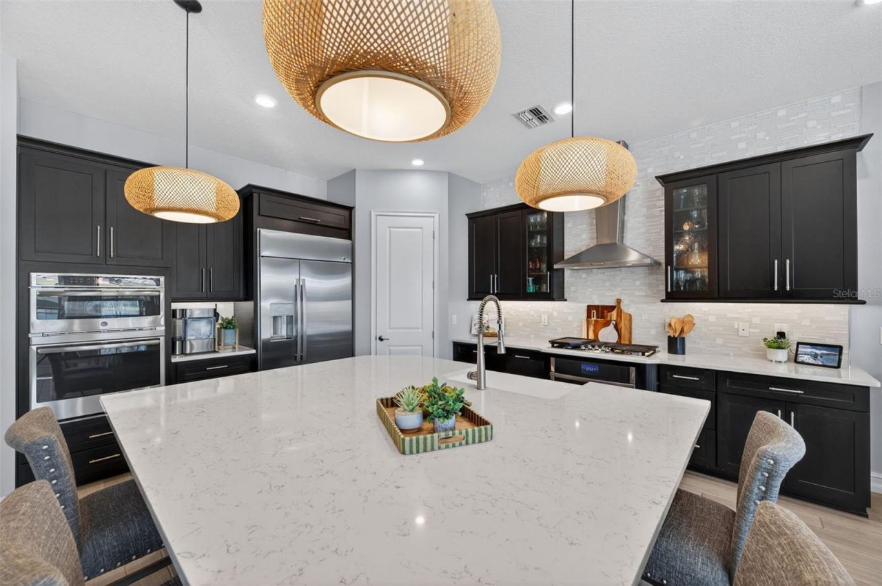 28501 Picana Lane, Wesley Chapel, FL 33543 Photo