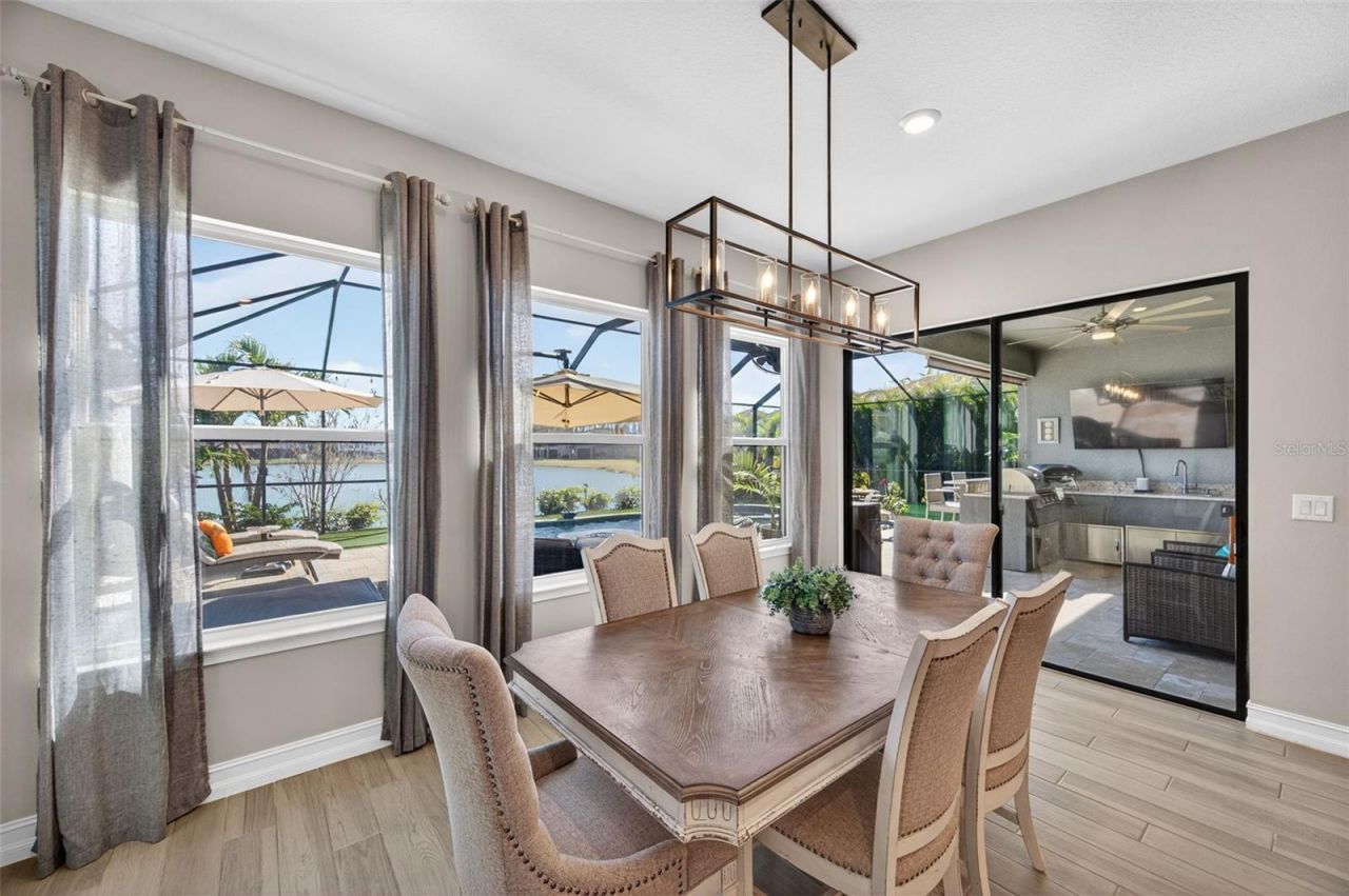 28501 Picana Lane, Wesley Chapel, FL 33543 Photo