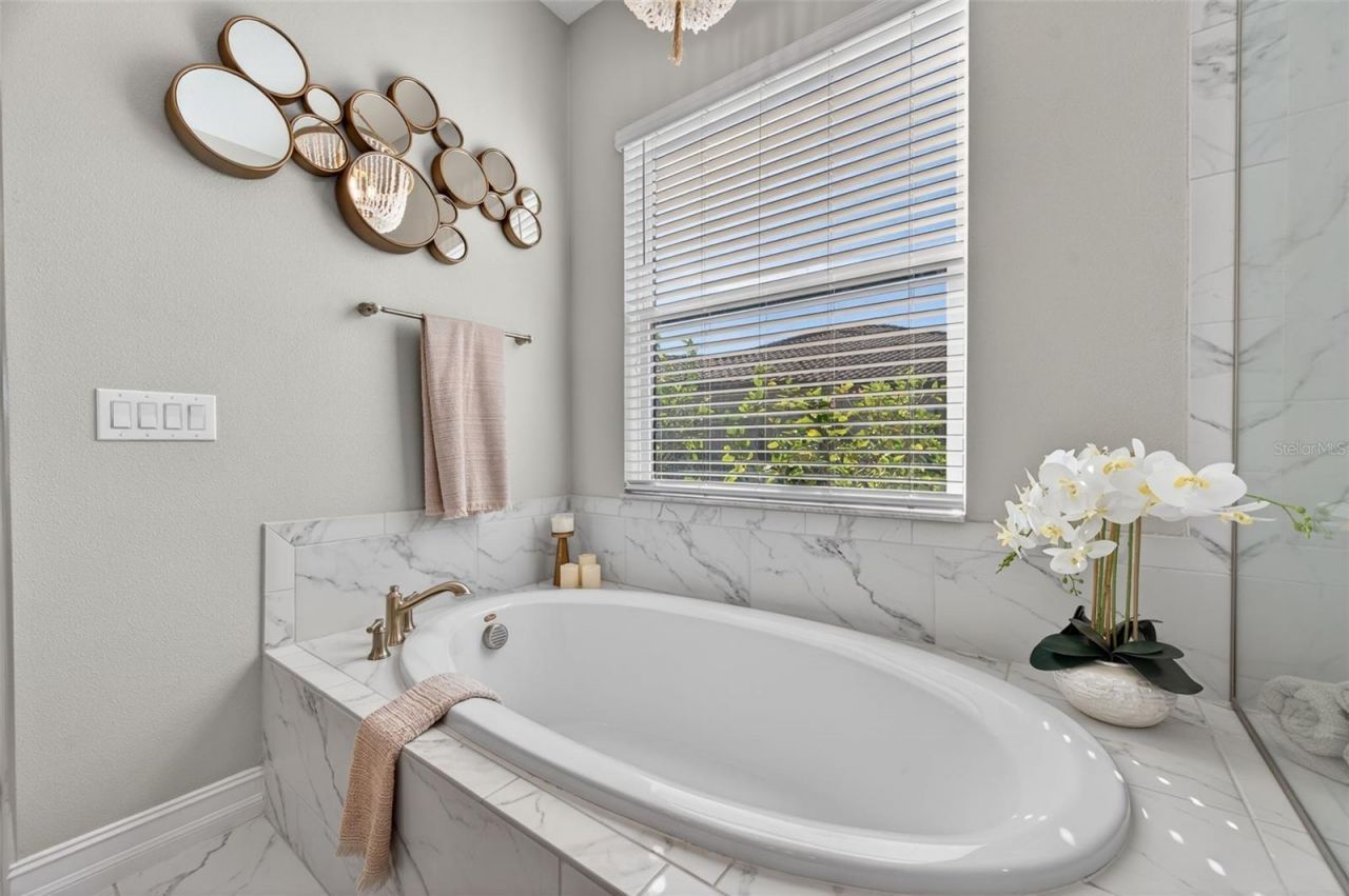 28501 Picana Lane, Wesley Chapel, FL 33543 Photo