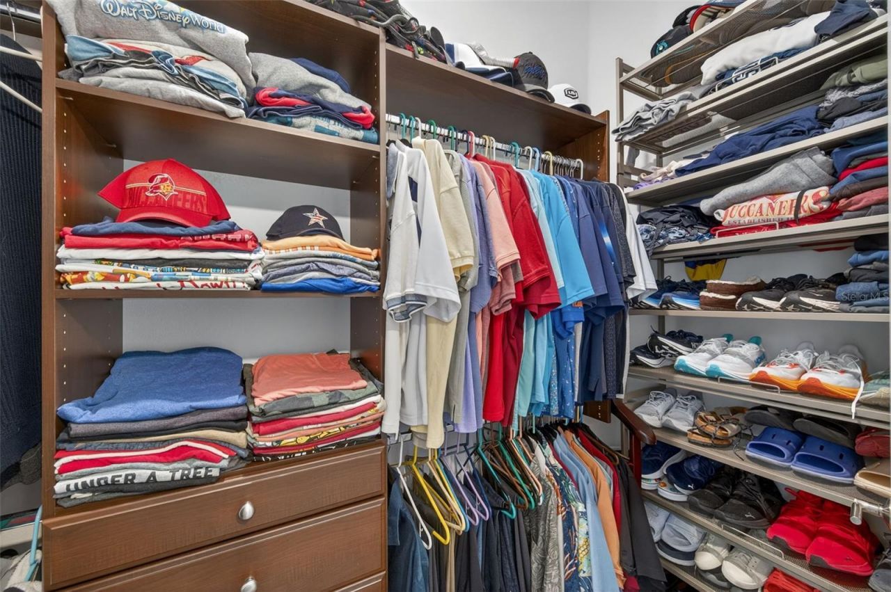 28501 Picana Lane, Wesley Chapel, FL 33543 Photo