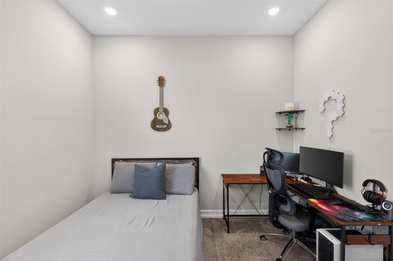 28501 Picana Lane, Wesley Chapel, FL 33543 Photo