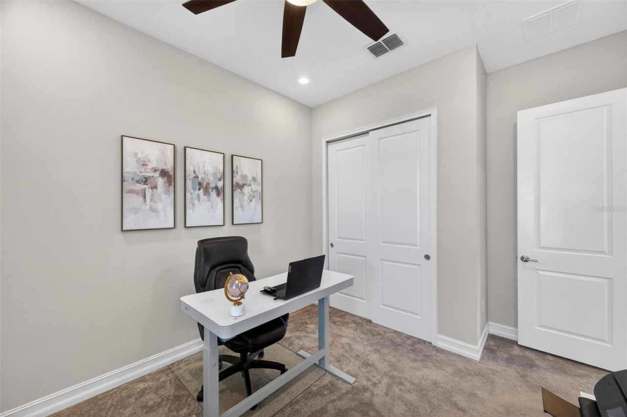 28501 Picana Lane, Wesley Chapel, FL 33543 Photo