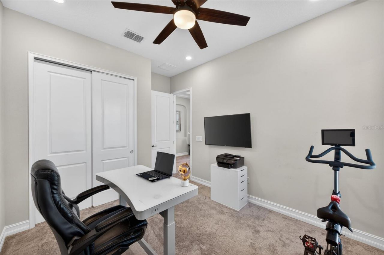 28501 Picana Lane, Wesley Chapel, FL 33543 Photo