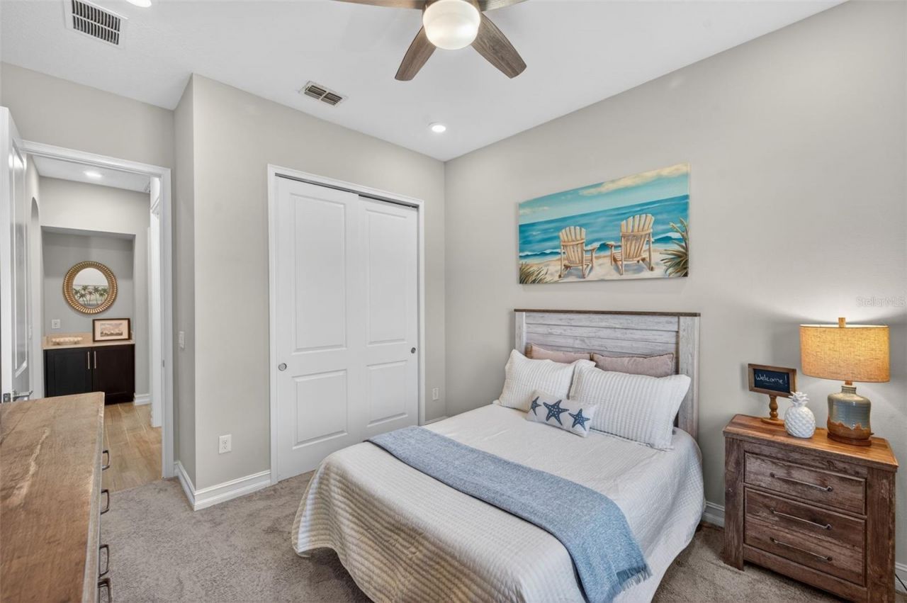 28501 Picana Lane, Wesley Chapel, FL 33543 Photo