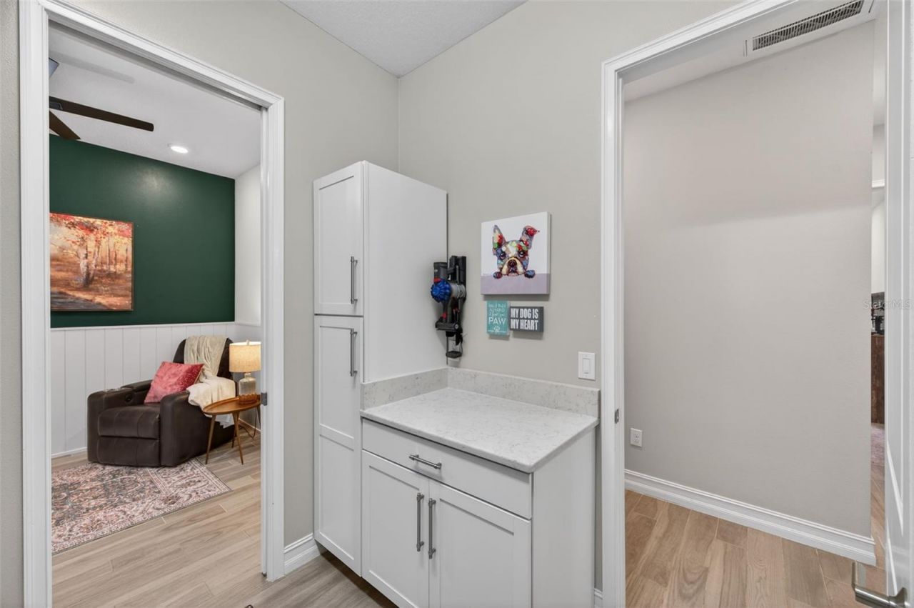 28501 Picana Lane, Wesley Chapel, FL 33543 Photo