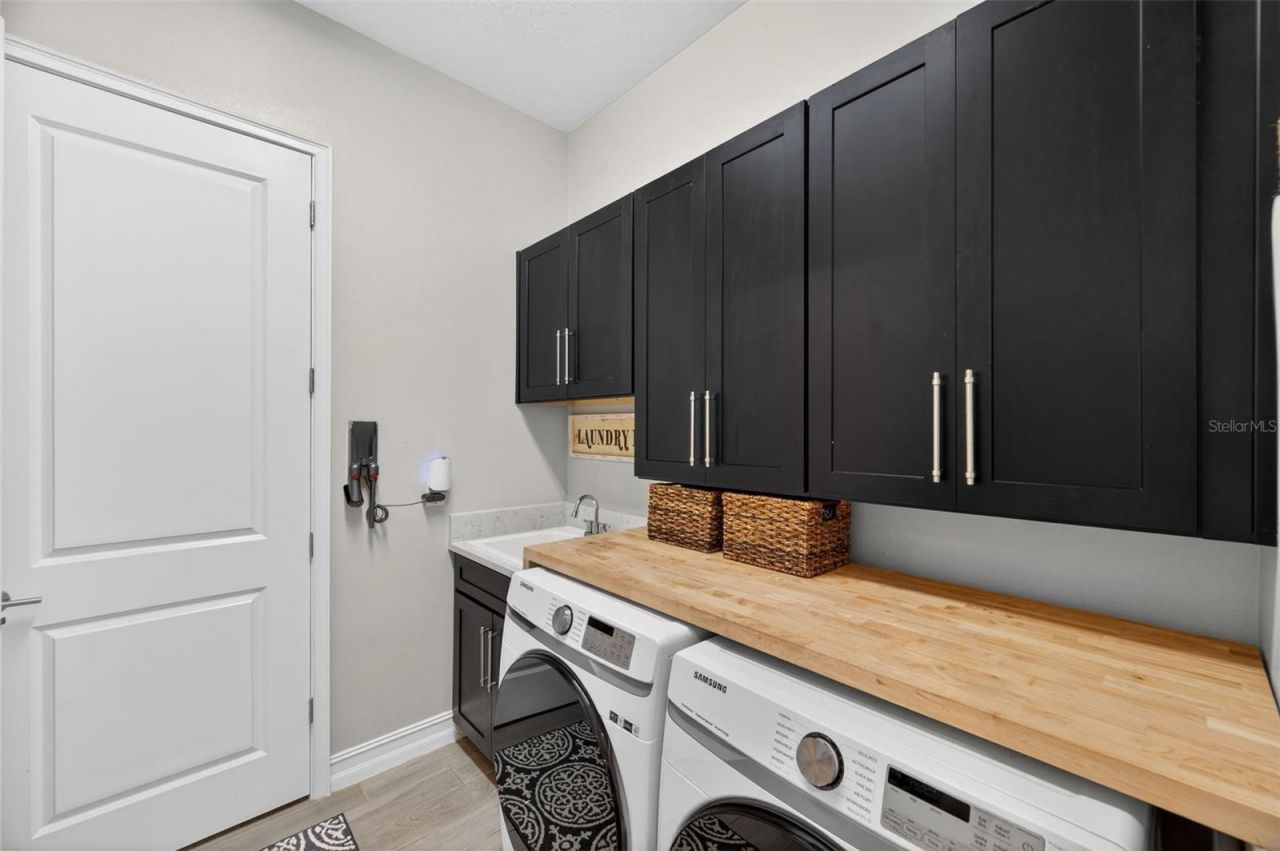 28501 Picana Lane, Wesley Chapel, FL 33543 Photo