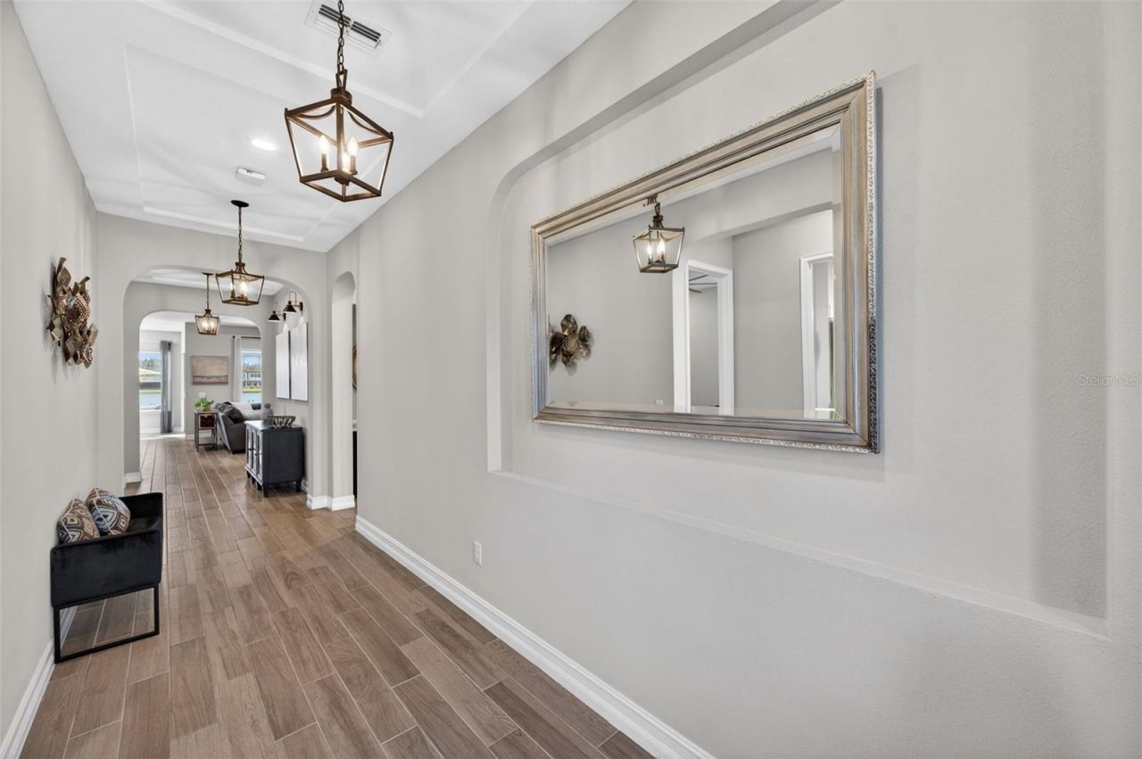 28501 Picana Lane, Wesley Chapel, FL 33543 Photo