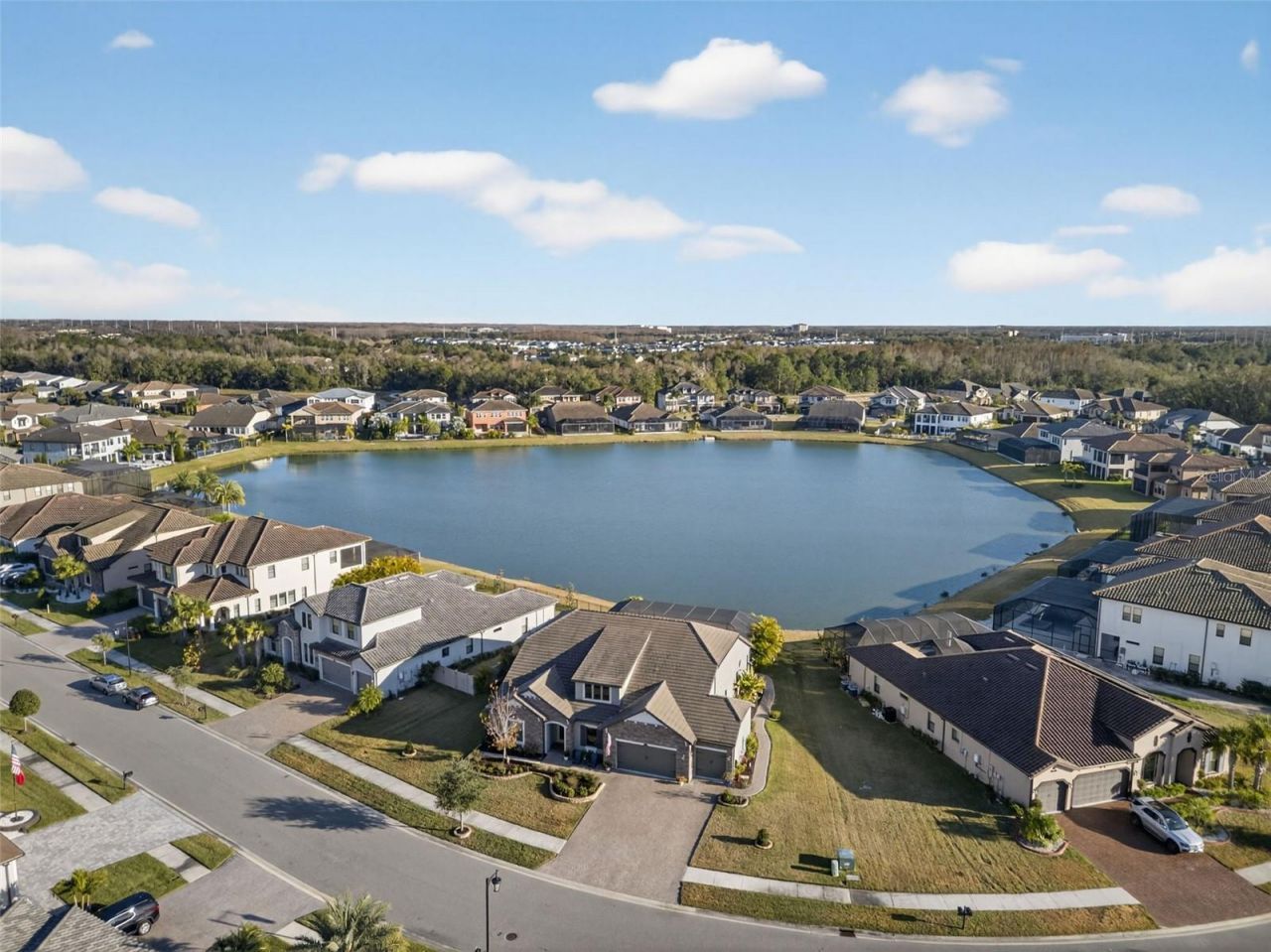 28501 Picana Lane, Wesley Chapel, FL 33543 Photo