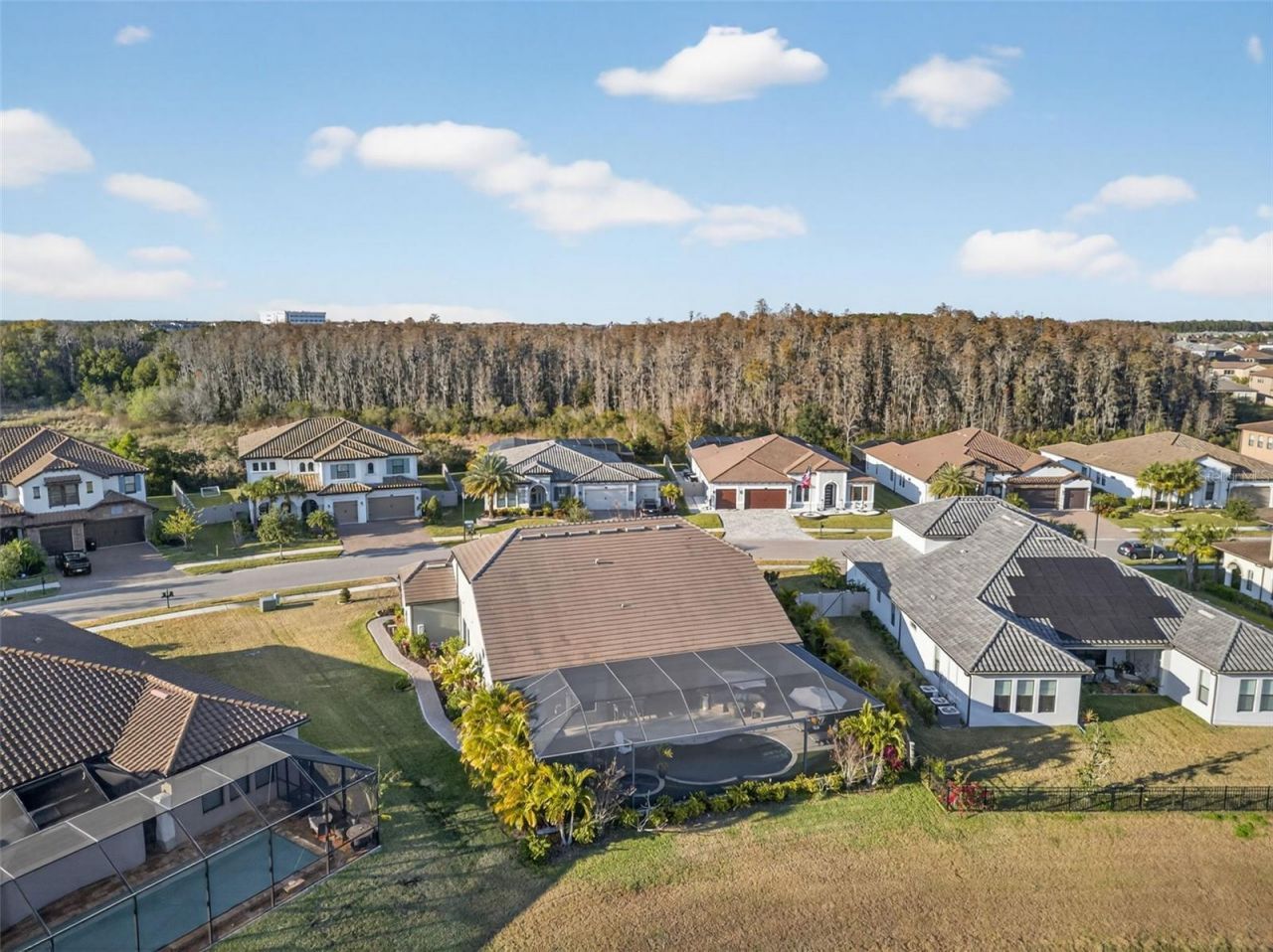 28501 Picana Lane, Wesley Chapel, FL 33543 Photo