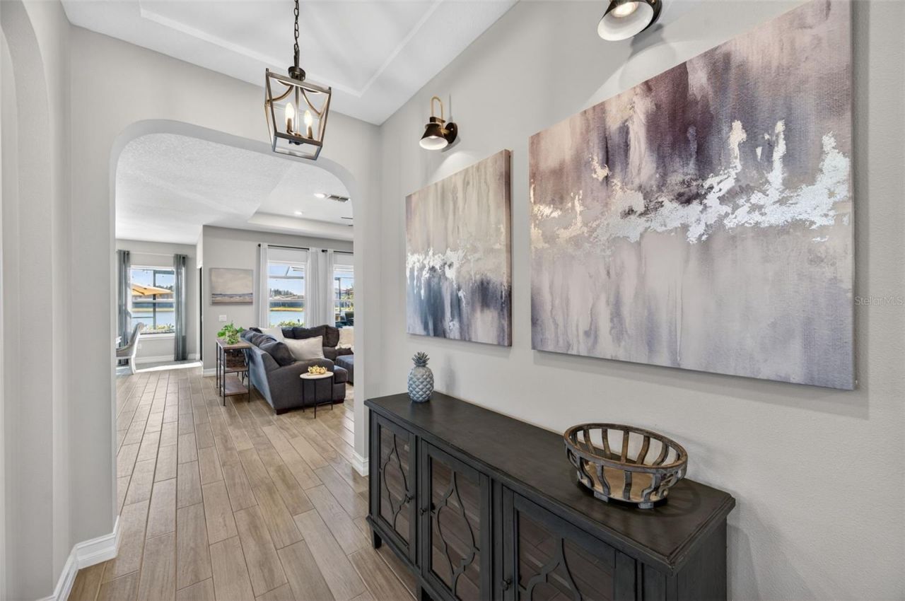 28501 Picana Lane, Wesley Chapel, FL 33543 Photo