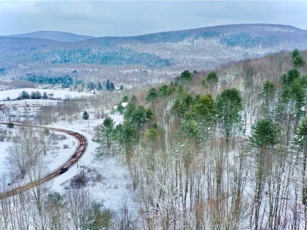 Quail Ridge Road, Margaretville, NY 12455