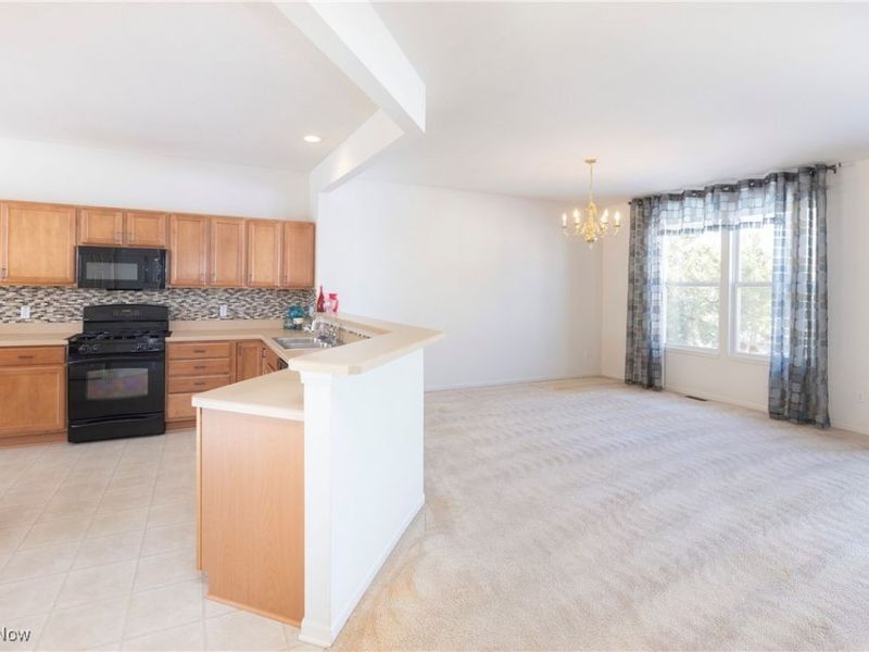 38342 Kingsbury Drive, North Ridgeville, OH 44039 Photo 14