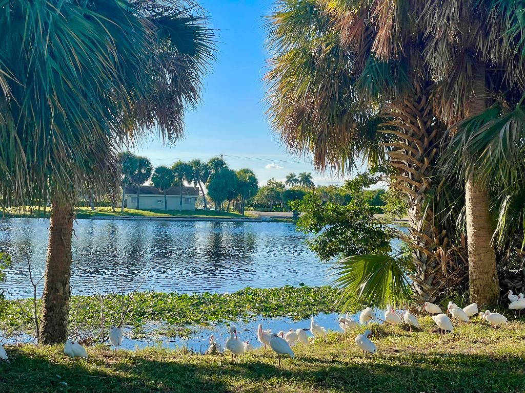 3120 Cynthia Lane, Unit 112, Lake Worth Beach, FL 33461 Photo