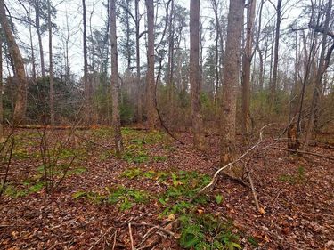 W HIGHVIEW DR LOT 134, LANCASTER, VA 22503