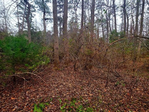 W HIGHVIEW DR LOT 135, LANCASTER, VA 22503