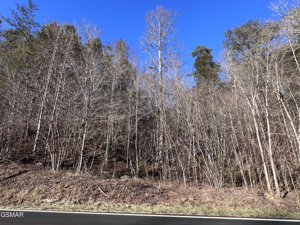 Lot 17, 18 Jones Cove Road, Sevierville, TN 37876