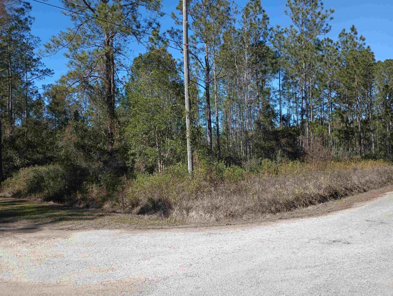 10575 Amos Ave, Hastings, FL 32145 Main Photo