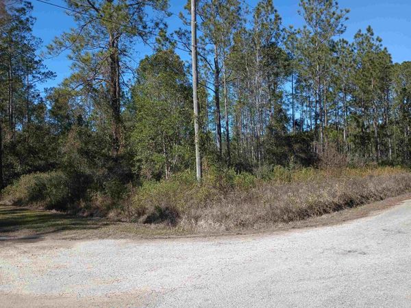 10575 Amos Ave, Hastings, FL 32145