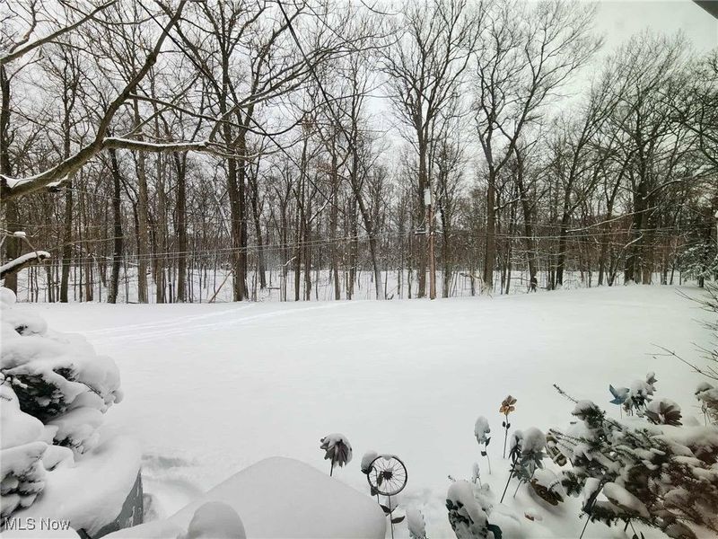 6960 Carriage Hill Drive, Brecksville, OH 44141 Photo 30