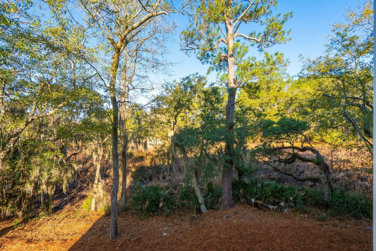 1140 Oak Overhang Street Photo 42
