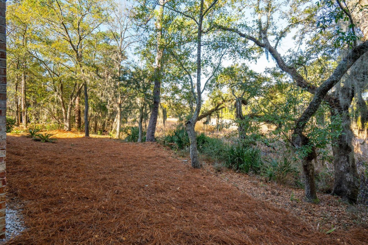 1140 Oak Overhang Street Photo 44