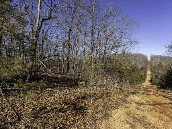 000 Buck Ridge Lane, Williford, AR 72482