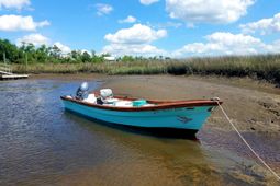 2916 Caroline Rose Path photo 4