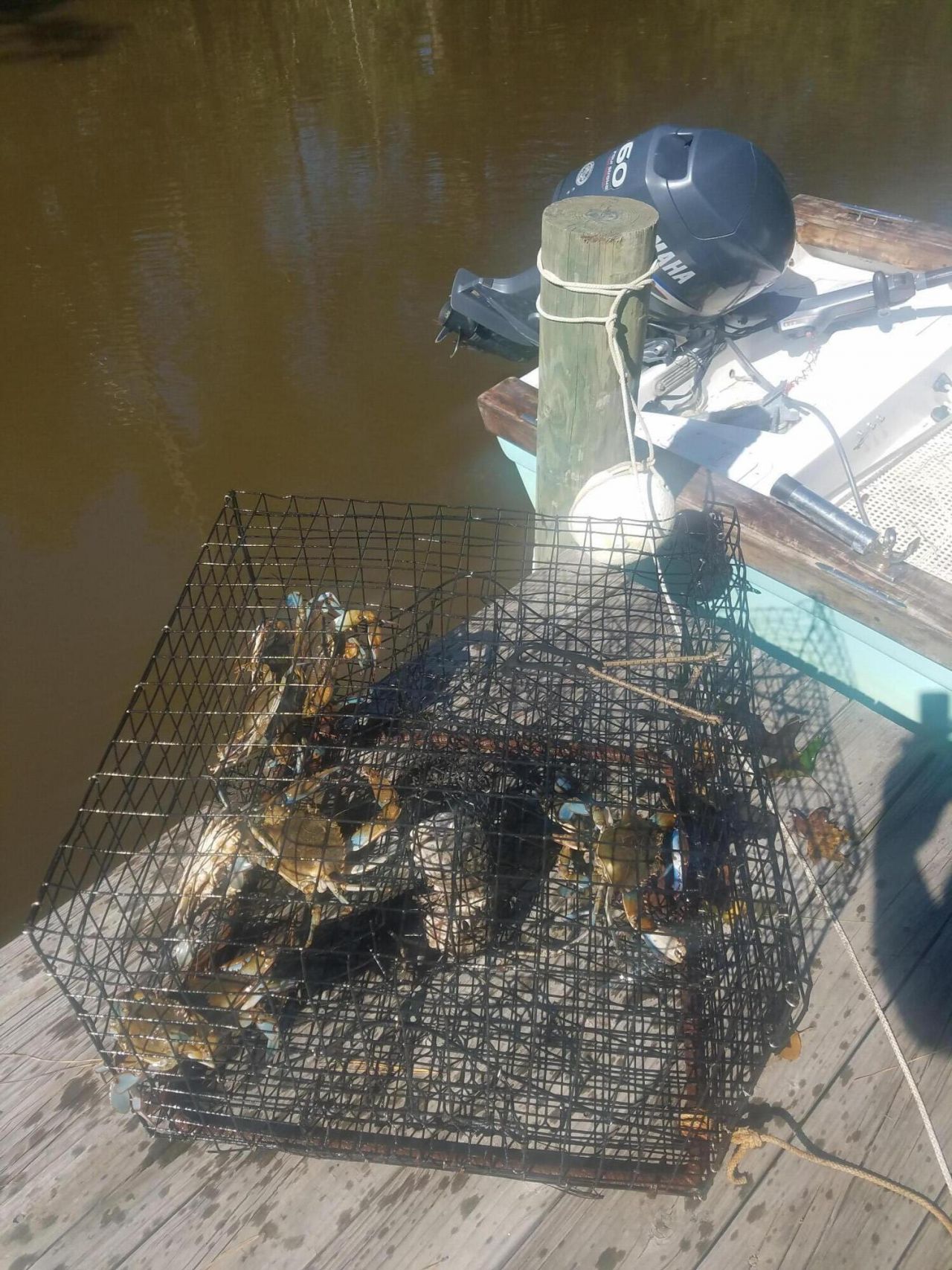 2916 Caroline Rose Path Photo 57