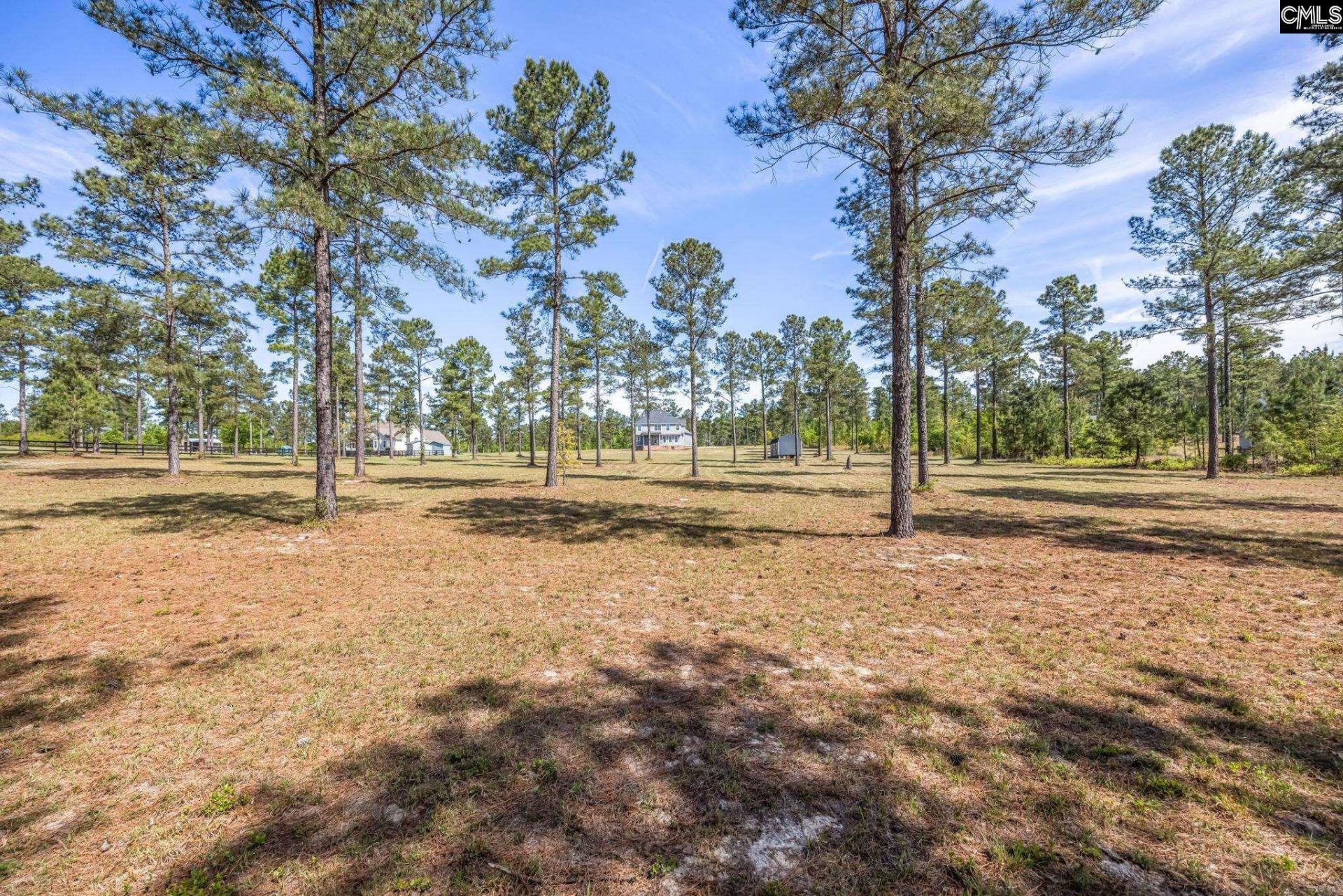 154 Hurlingham Drive Photo 53