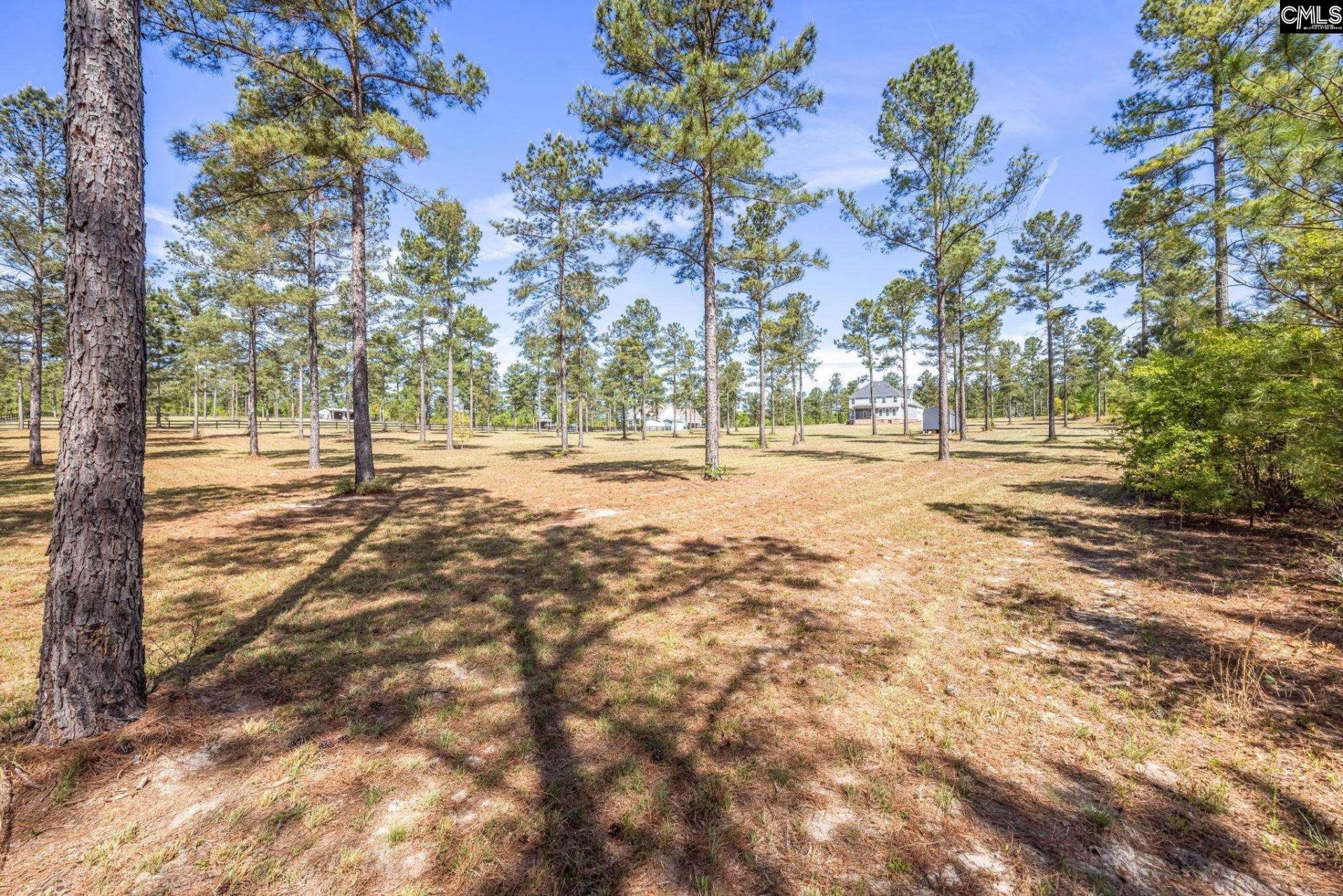 154 Hurlingham Drive Photo 54