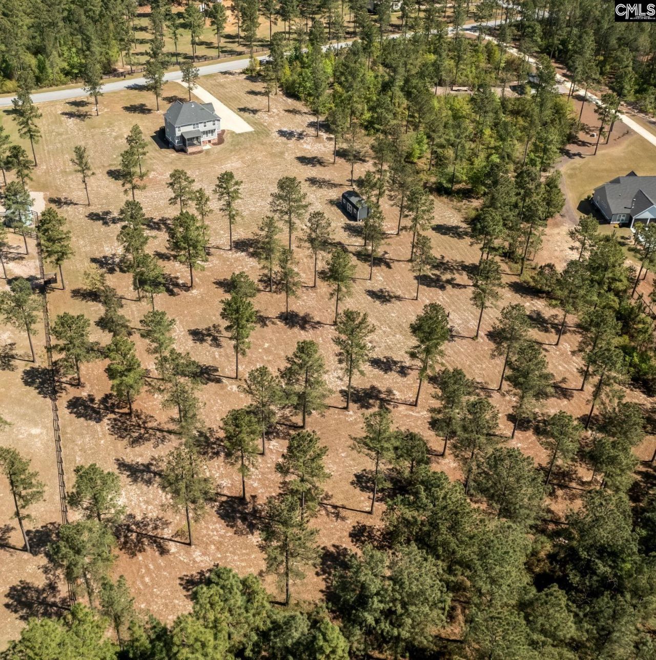 154 Hurlingham Drive Photo 59