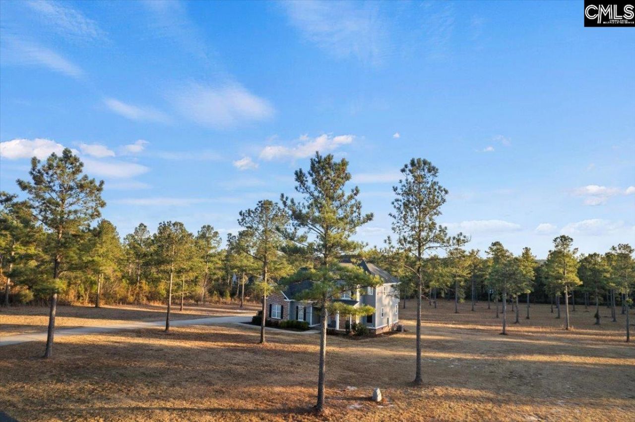 154 Hurlingham Drive  Photo 7